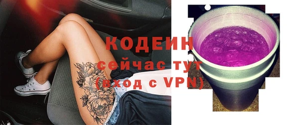 меф Ельня