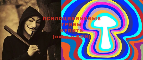 не бодяженный Елабуга