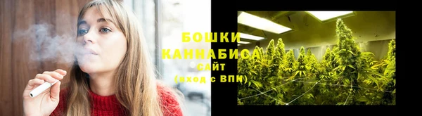 не бодяженный Елабуга