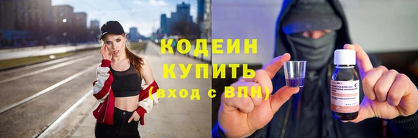 меф Ельня