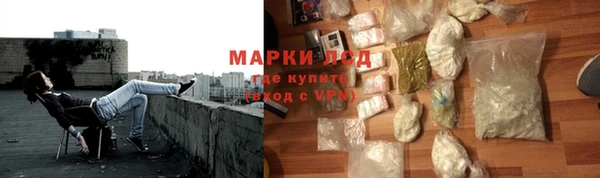 ПСИЛОЦИБИНОВЫЕ ГРИБЫ Елизово