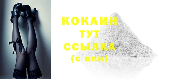 меф Ельня