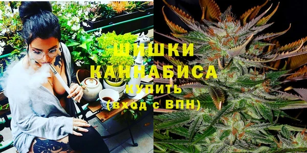 меф Ельня