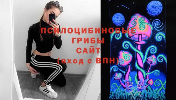 не бодяженный Елабуга