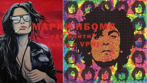 меф Ельня