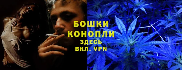 меф Ельня