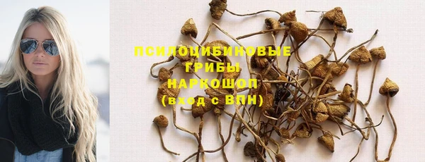меф Ельня