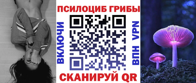 Купить закладки  Кяхта  Псилоцибиновые грибы мухоморы 